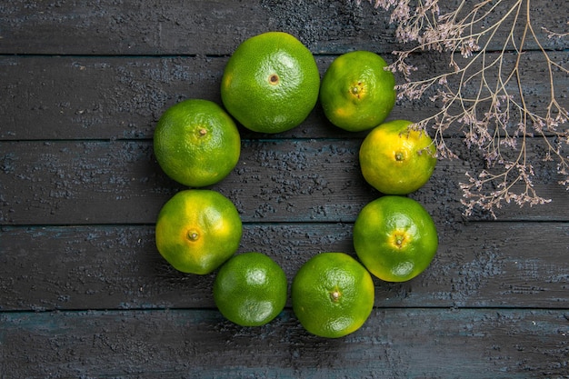 Vue de dessus des limes et des branches des limes vertes disposées en cercle à côté des branches d'arbres