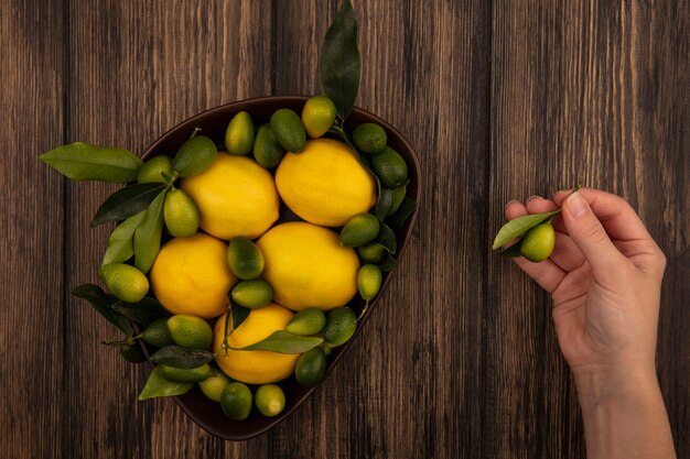 Vue de dessus de la main féminine tenant un kinkan avec un bol de citrons et kinkans sur un mur en bois