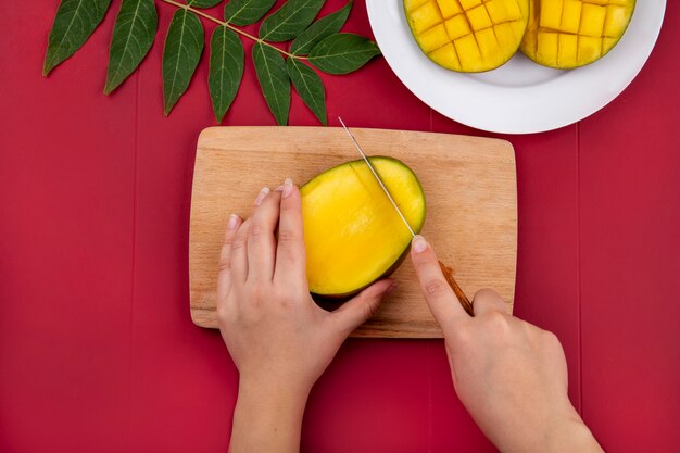 Vue de dessus des mains féminines couper la mangue avec un couteau sur planche de cuisine en bois avec des tranches de mangue dans une assiette blanche et avec une feuille verte sur rouge