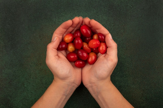 Vue de dessus des mains féminines tenant des cerises de cornaline aigre rouge pâle sur une surface verte