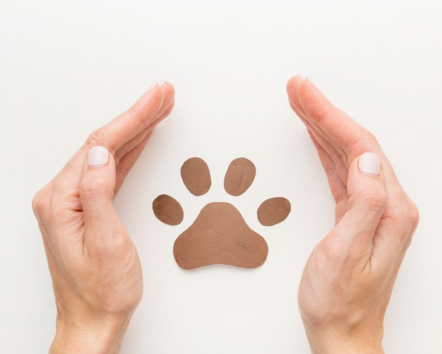 Vue de dessus des mains protégeant l'empreinte de patte pour la journée des animaux