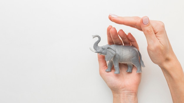 Vue de dessus des mains protégeant la figurine d'éléphant pour la journée des animaux