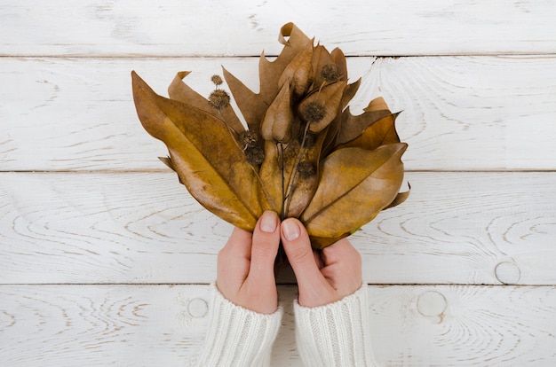 Vue de dessus mains tenant des feuilles d&#39;automne