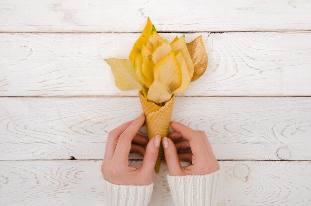 Vue de dessus mains tenant des feuilles d&#39;automne