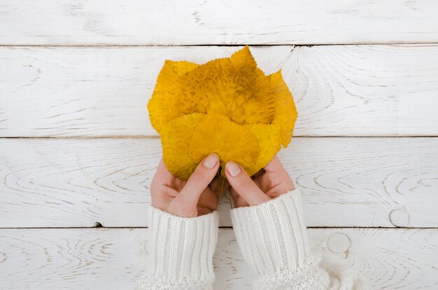 Vue de dessus mains tenant des feuilles d&#39;automne