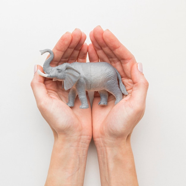 Photo gratuite vue de dessus des mains tenant la figurine d'éléphant pour la journée des animaux