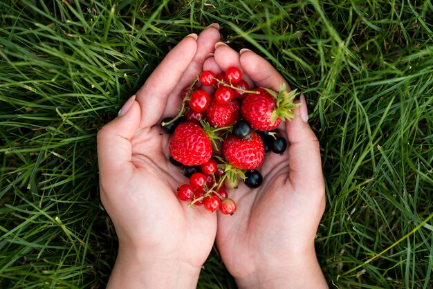 Vue de dessus mains tenant des fruits