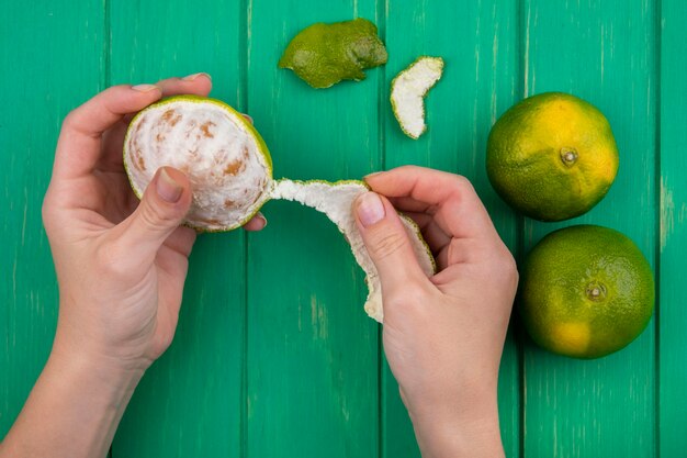 Vue de dessus des mandarines d'épluchage femelle de la peau sur un mur vert