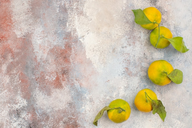 Photo gratuite vue de dessus des mandarines fraîches sur fond nude