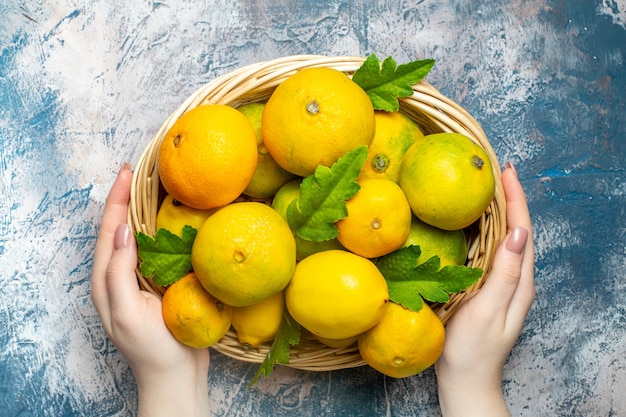 Vue de dessus mandarines fraîches sur panier en osier dans la main de la femme sur la surface blanche bleue