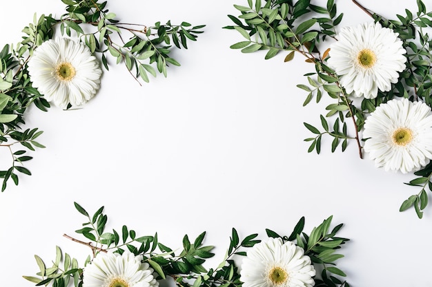 Vue de dessus de marguerites blanches