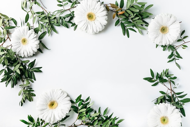 Vue de dessus de marguerites blanches