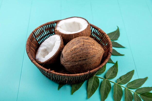 Vue de dessus de la moitié et des noix de coco entières sur un seau avec feuille sur surface bleue