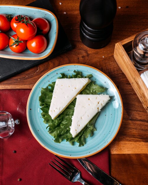 Vue de dessus des morceaux de fromage blanc sur une plaque