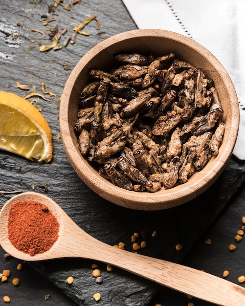 Photo gratuite vue de dessus mouches frites aux épices