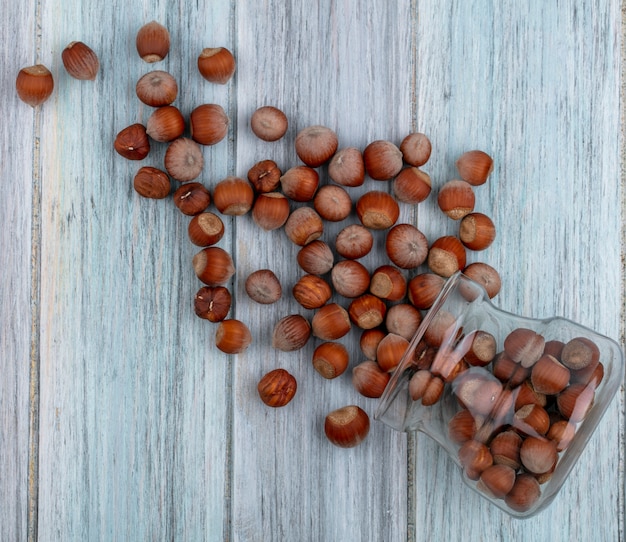 Photo gratuite vue de dessus noisette dans un pot sur fond gris