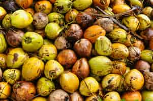 Photo gratuite vue de dessus des noix de coco exposées au marché