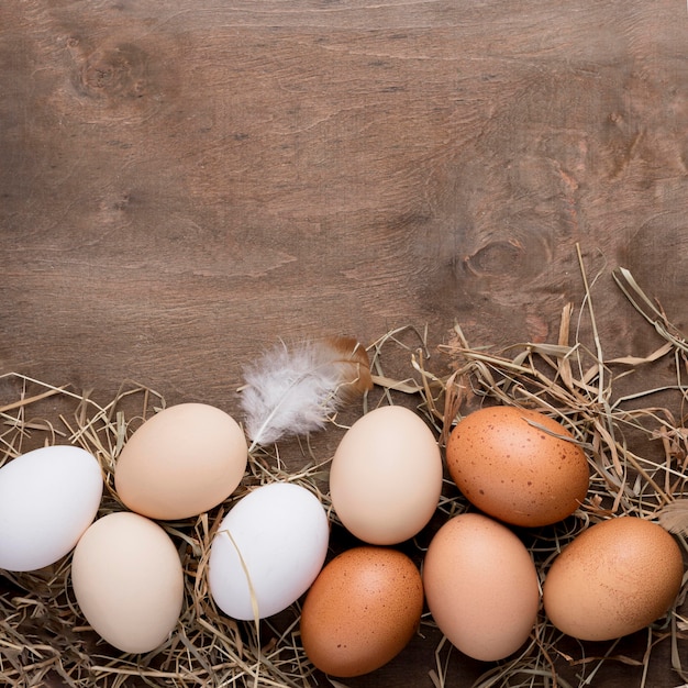 Vue de dessus des œufs de poule frais