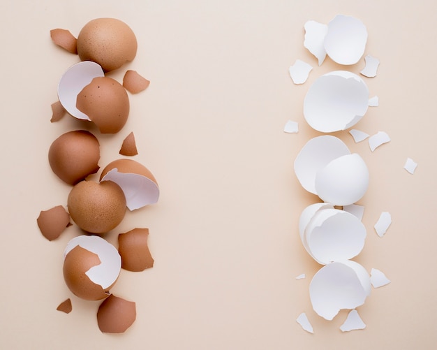 Photo gratuite vue de dessus des œufs de poule frais