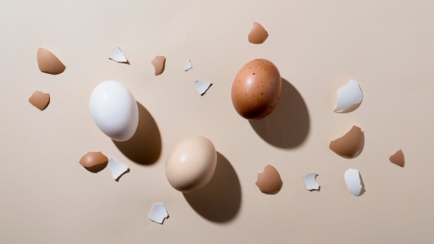 Photo gratuite vue de dessus des œufs de poule frais