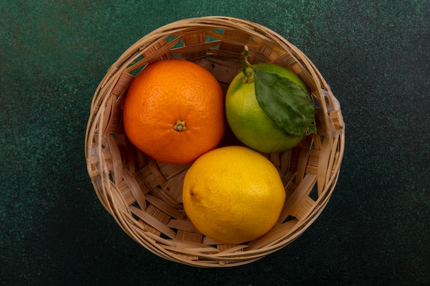 Photo gratuite vue de dessus orange avec du citron et de la chaux dans le panier sur fond vert
