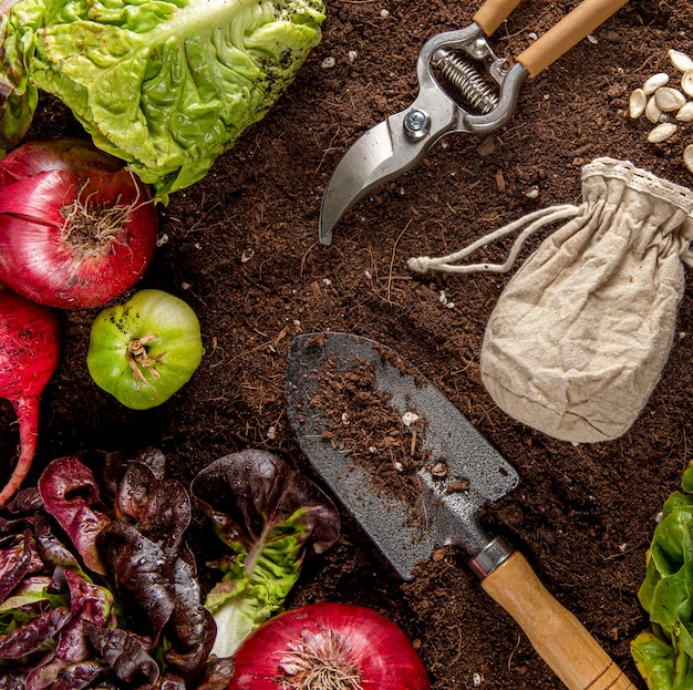 Vue de dessus de l'outil de jardin avec des légumes