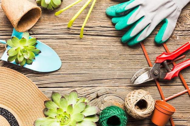 Vue de dessus des outils de jardinage sur le plancher en bois