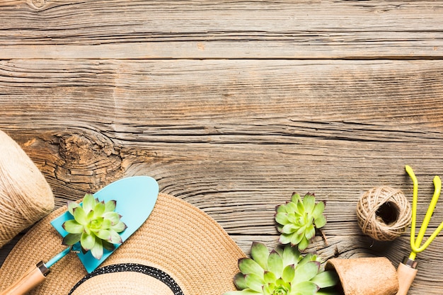 Vue de dessus des outils de jardinage sur le plancher en bois