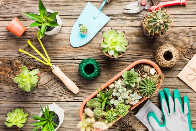 Vue de dessus des outils de jardinage sur le plancher en bois