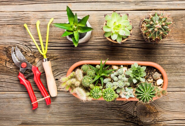 Vue de dessus des outils de jardinage sur le plancher en bois