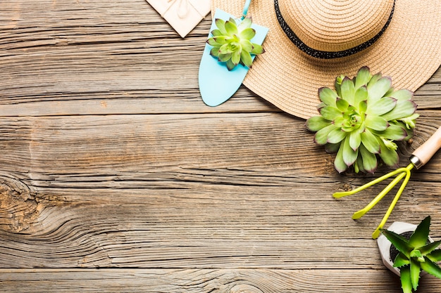 Vue de dessus des outils de jardinage sur le plancher en bois