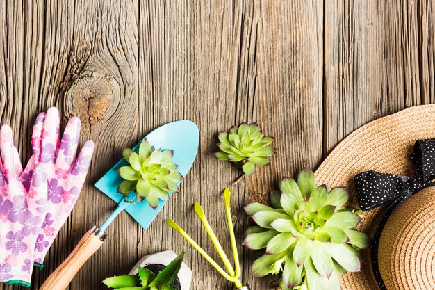 Vue de dessus des outils de jardinage sur le plancher en bois