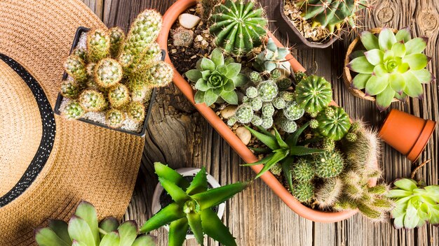 Vue de dessus des outils de jardinage sur le plancher en bois