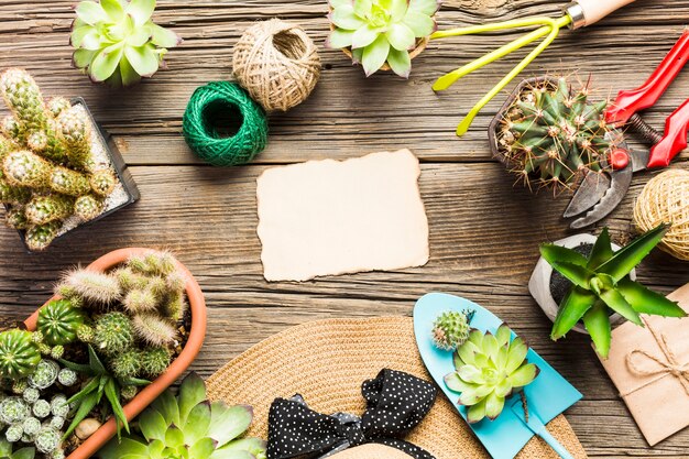 Vue de dessus des outils de jardinage sur le plancher en bois