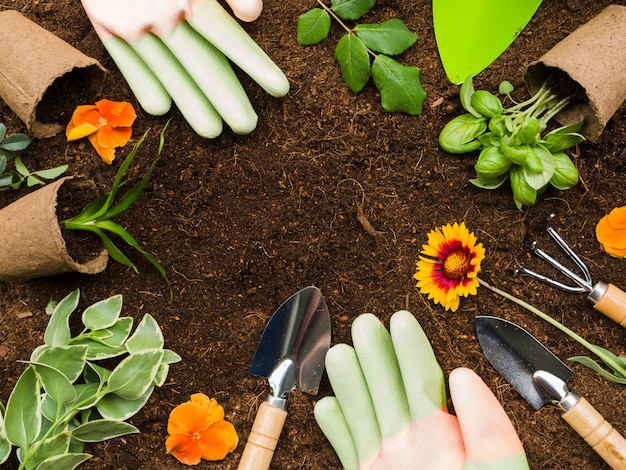 Vue de dessus des outils de jardinage et des plantes