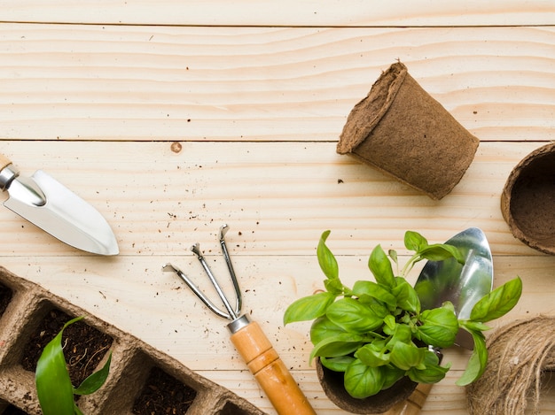 Vue de dessus des outils de jardinage et des plantes