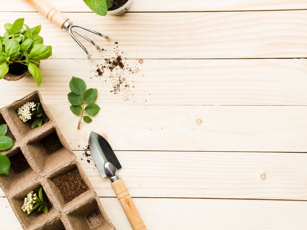 Vue de dessus des outils de jardinage et des plantes