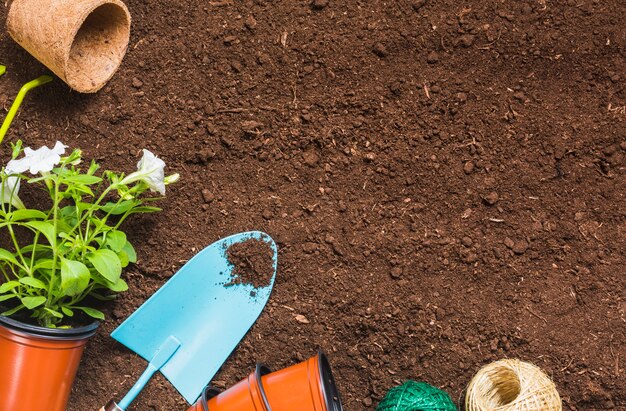 Vue de dessus des outils de jardinage sur le sol