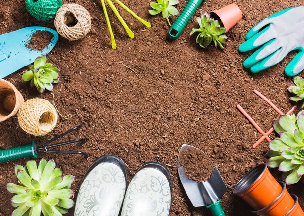 Vue de dessus des outils de jardinage sur le sol