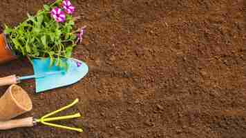 Photo gratuite vue de dessus des outils de jardinage sur le sol