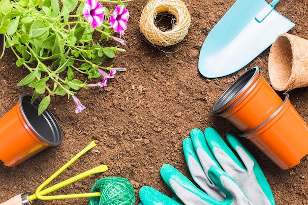 Vue de dessus des outils de jardinage sur le sol