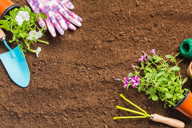 Vue de dessus des outils de jardinage sur le sol