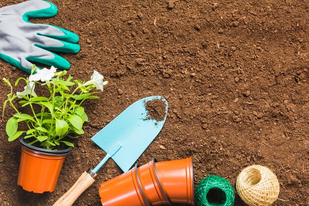 Vue de dessus des outils de jardinage sur le sol