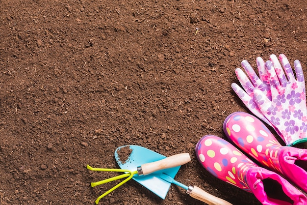 Vue de dessus des outils de jardinage sur le sol