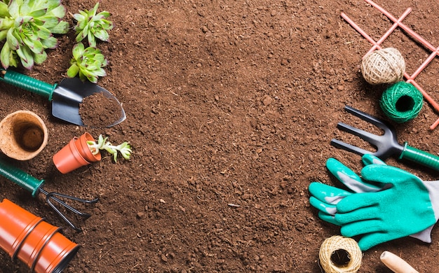 Vue de dessus des outils de jardinage sur le sol