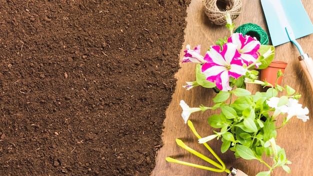 Vue de dessus des outils de jardinage sur le sol