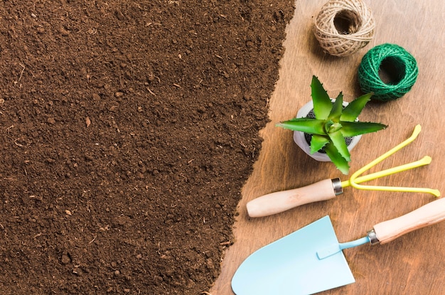 Vue de dessus des outils de jardinage sur le sol