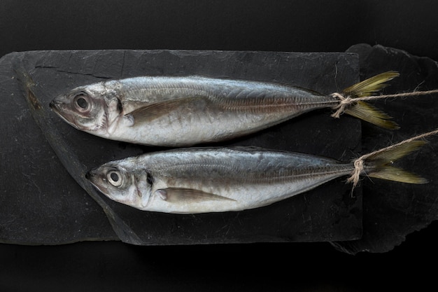 Photo gratuite vue de dessus de la paire de poissons sur ardoise