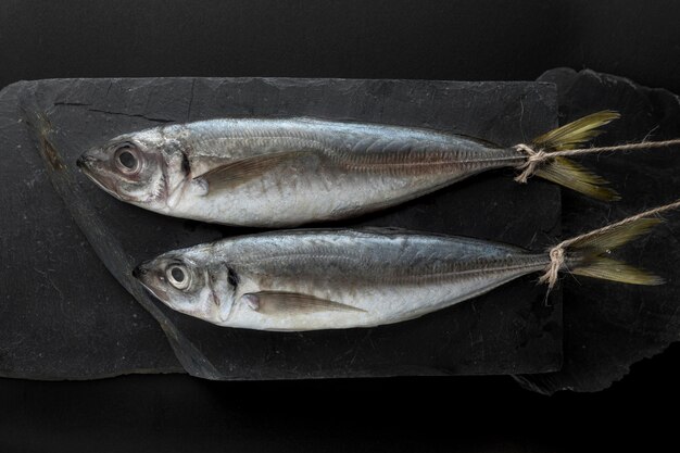 Vue de dessus de la paire de poissons sur ardoise