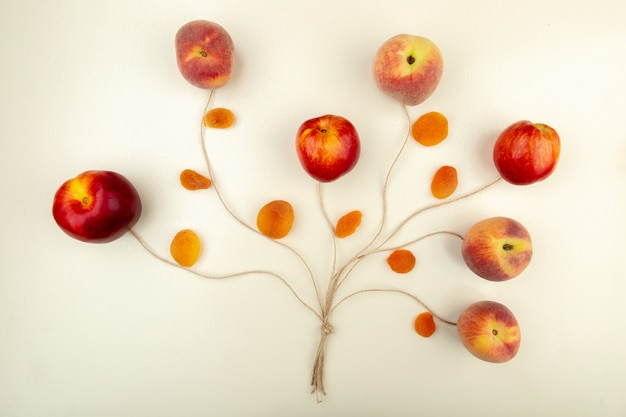 Vue de dessus des pêches et des raisins secs jaunes avec de la ficelle sur le concept d'arbre de surface blanche